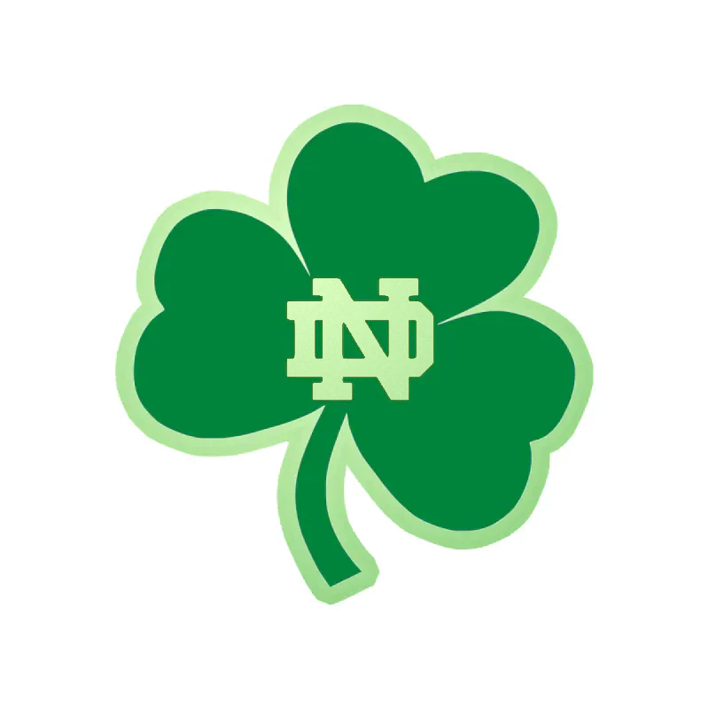 Notre Dame - Image 2 - Glow in the Dark Vinyl Decal - Custom Size