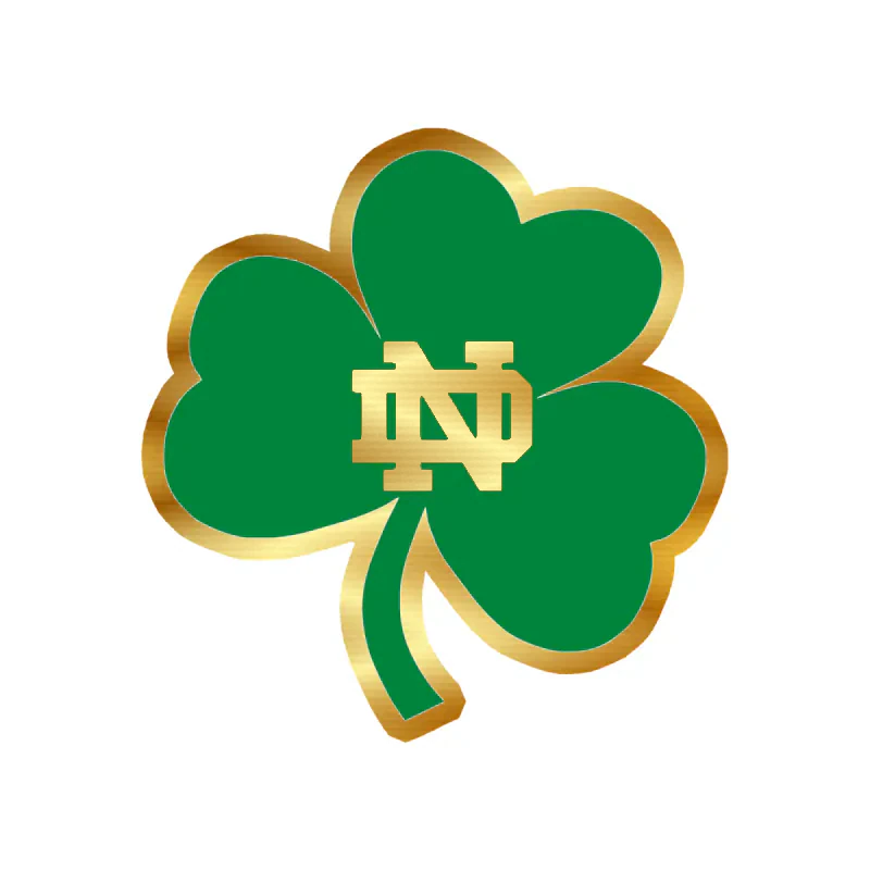 Notre Dame - Image 2 - Gold Chrome Vinyl Decal - Custom Size