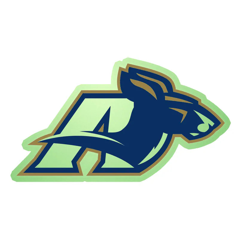 Akron Zips - Image 3 - Glow in the Dark Vinyl Decal - Custom Size
