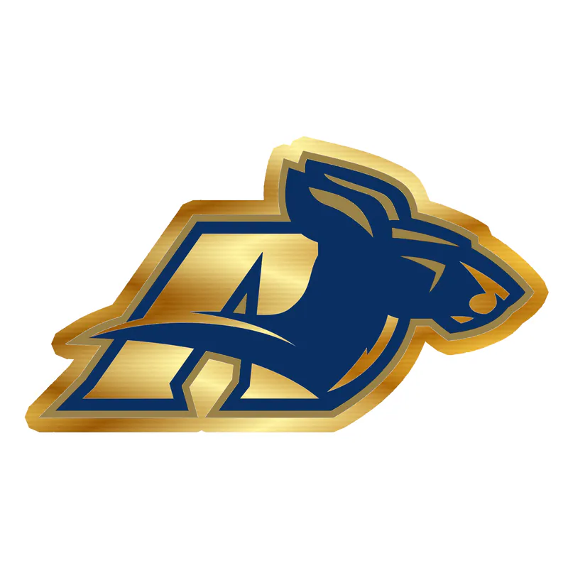 Akron Zips - Image 3 - Gold Chrome Vinyl Decal - Custom Size