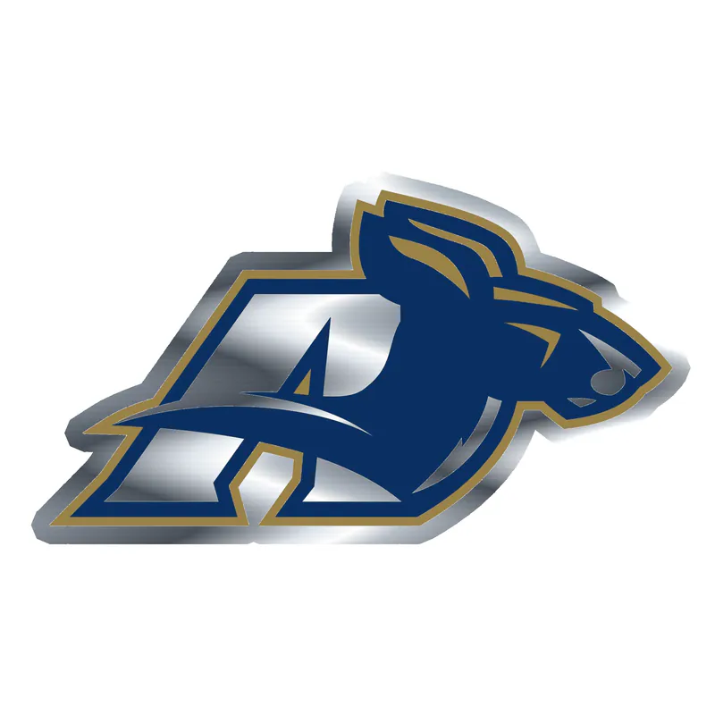 Akron Zips - Image 3 - Silver Chrome Vinyl Decal - Custom Size