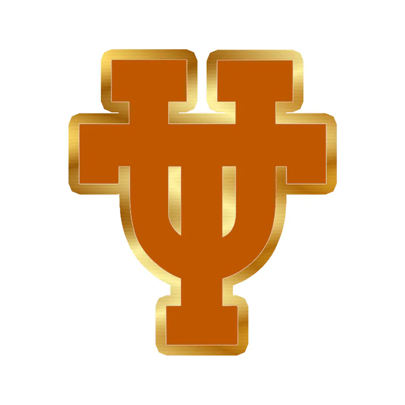 Texas Longhorns - Image 4 - Gold Chrome Vinyl Sticker - Custom Size