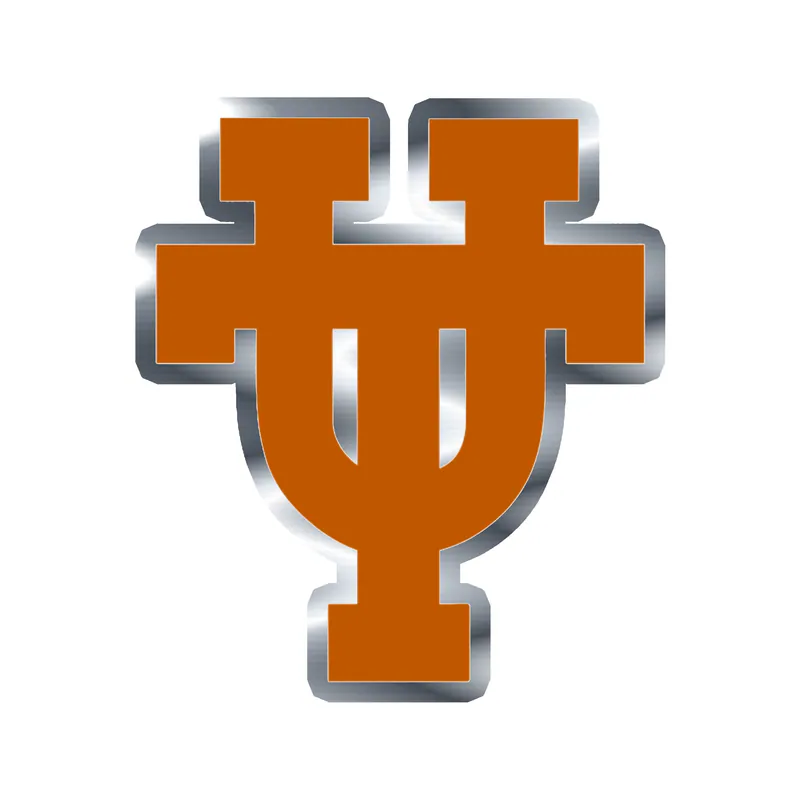 Texas Longhorns - Image 4 - Silver Chrome Vinyl Sticker - Custom Size