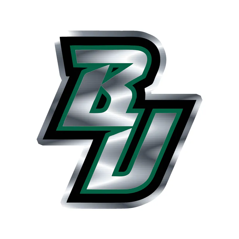 Binghamton Bearcats - Image 3 - Silver Chrome Vinyl Decal - Custom Size