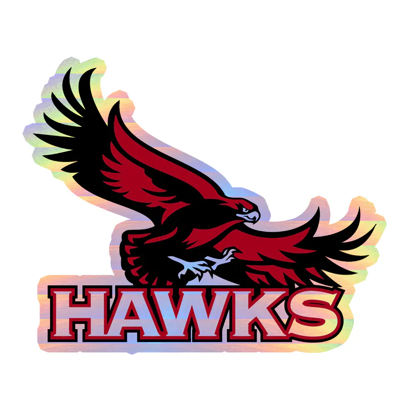 St. Joseph's Hawks - Image 1 - Holographic Vinyl Decal - Custom Size