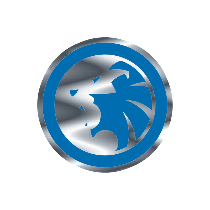 Detroit Lions - Circle With Lion In Middle - Silver Chrome Vinyl Sticker - Custom Size