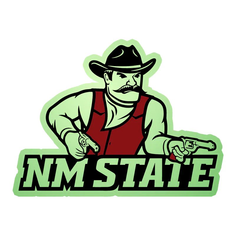 New Mexico State Glow in the Dark Vinyl Sticker - Custom Size
