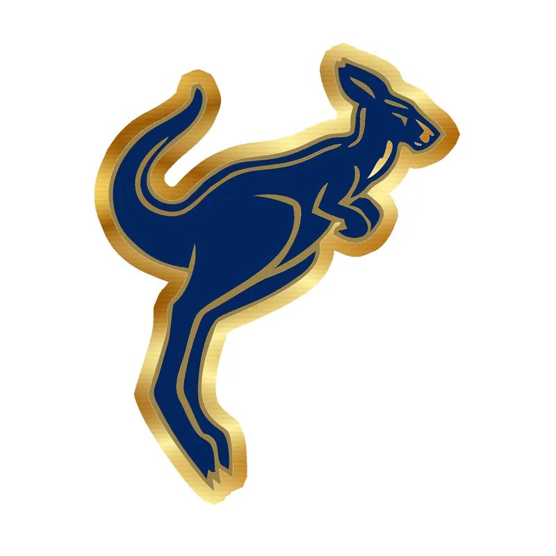 Akron Zips - Image 4 - Gold Chrome Vinyl Decal - Custom Size