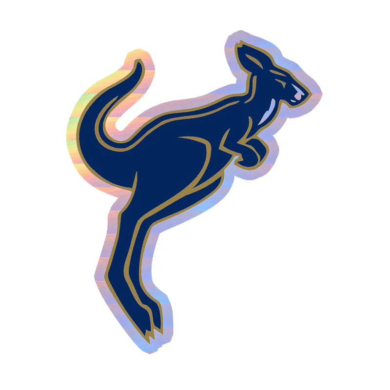 Akron Zips - Image 4 - Holographic Vinyl Decal - Custom Size