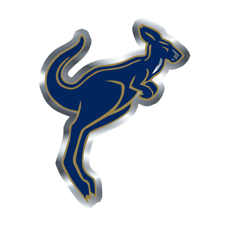 Akron Zips - Image 4 - Silver Chrome Vinyl Decal - Custom Size