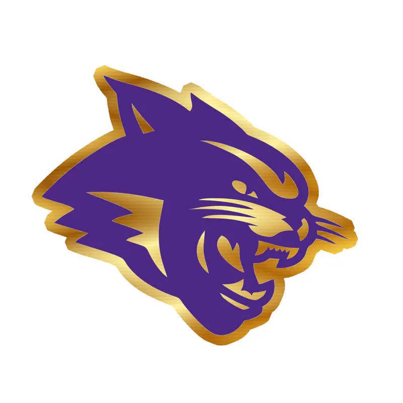 Abeline Christian Wildcats - Image 4 - Gold Chrome Vinyl Decal - Custom Size