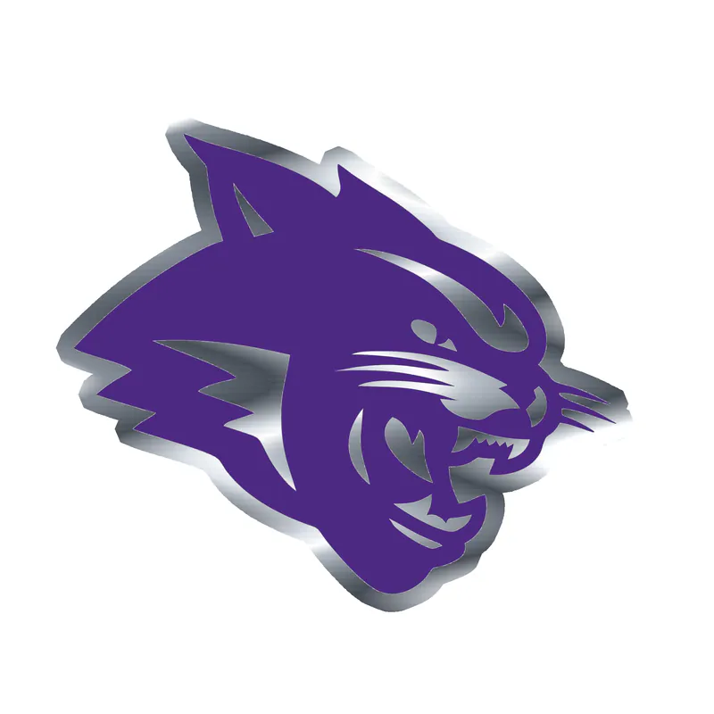 Abeline Christian Wildcats - Image 4 - Silver Chrome Vinyl Decal - Custom Size
