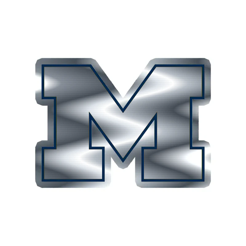 Michigan Wolverines - Image 3 - Silver Chrome Vinyl Decal - Custom Size