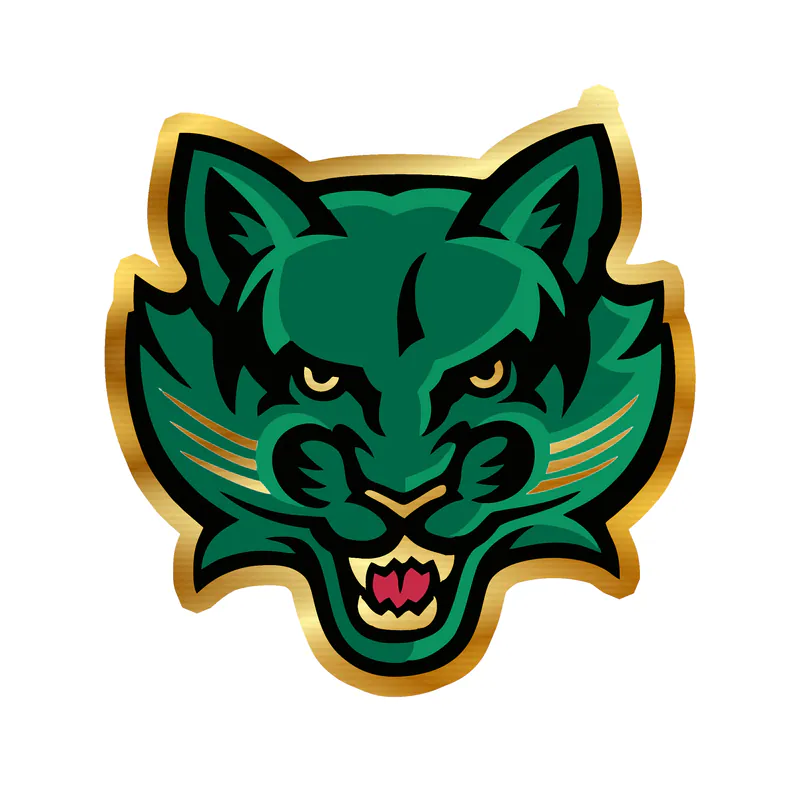 Binghamton Bearcats - Image 2 - Gold Chrome Vinyl Decal - Custom Size