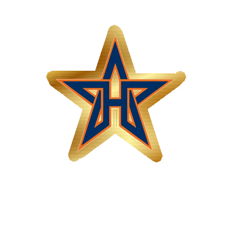 Houston Astros - Star - Gold Chrome Vinyl Sticker - Custom Size