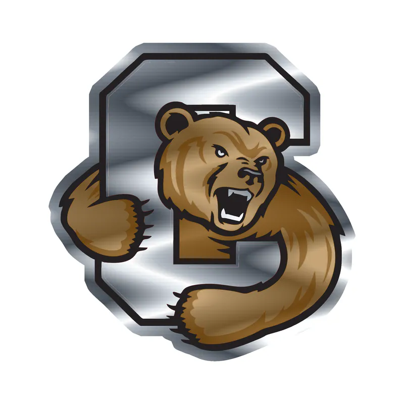 Cornell Big Red - Image 1 - Silver Chrome Vinyl Decal - Custom Size