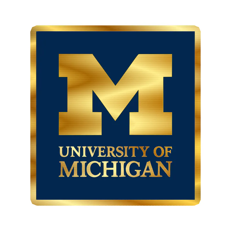 Michigan Wolverines - Image 2 - Gold Chrome Vinyl Decal - Custom Size