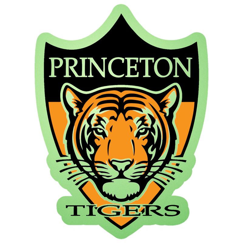 Princeton Tigers - Glow in the Dark Vinyl Decal - Custom Size