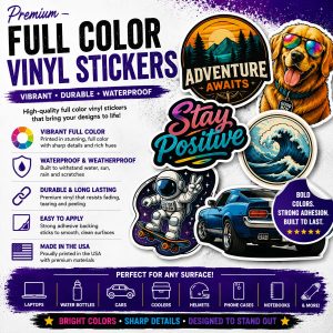 full color explainer