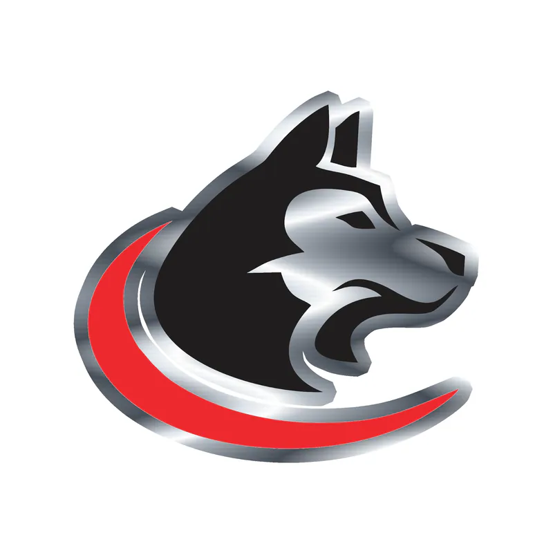 Custom for Rodney - Silver Chrome Vinyl Decal
