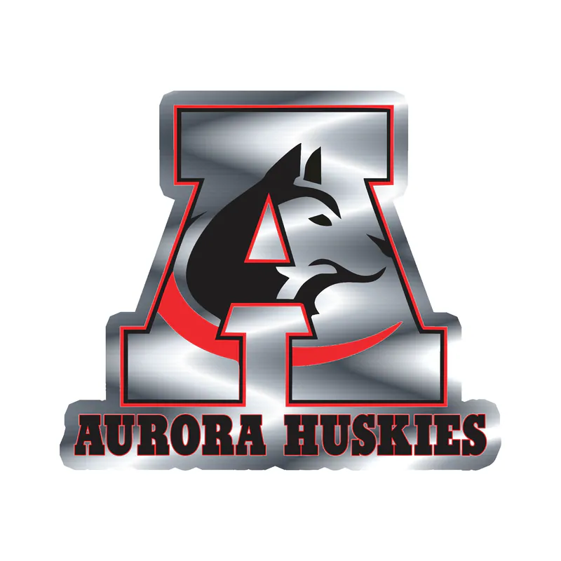 Custom for Rodney - Silver Chrome Vinyl Decal