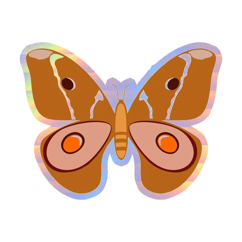Butterfly - Holographic Vinyl Decal