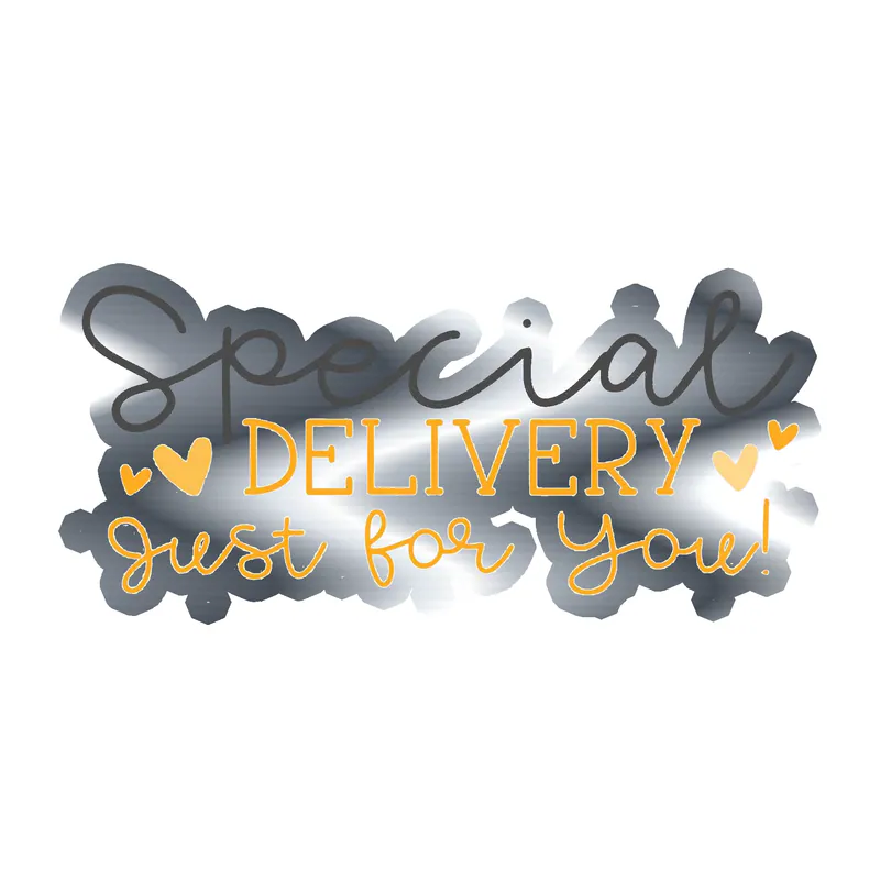 Special Delivery - Silver Chrome Vinyl Decal