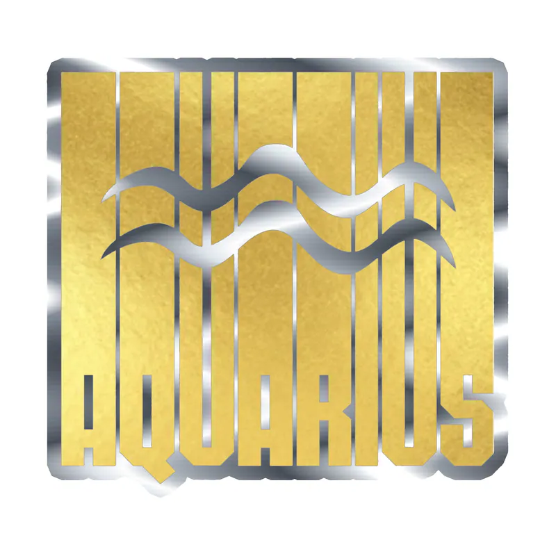 Gold Aquarius - Silver Chrome Vinyl Decal - Custom Size