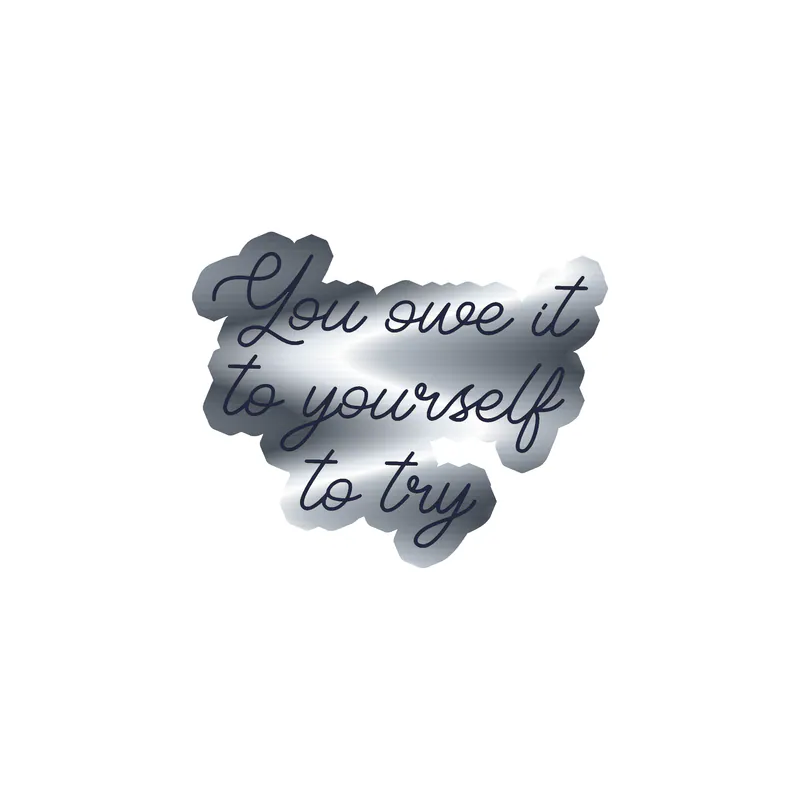 You Owe it to Yourself to try Silver Chrome Vinyl Decal - Custom Size