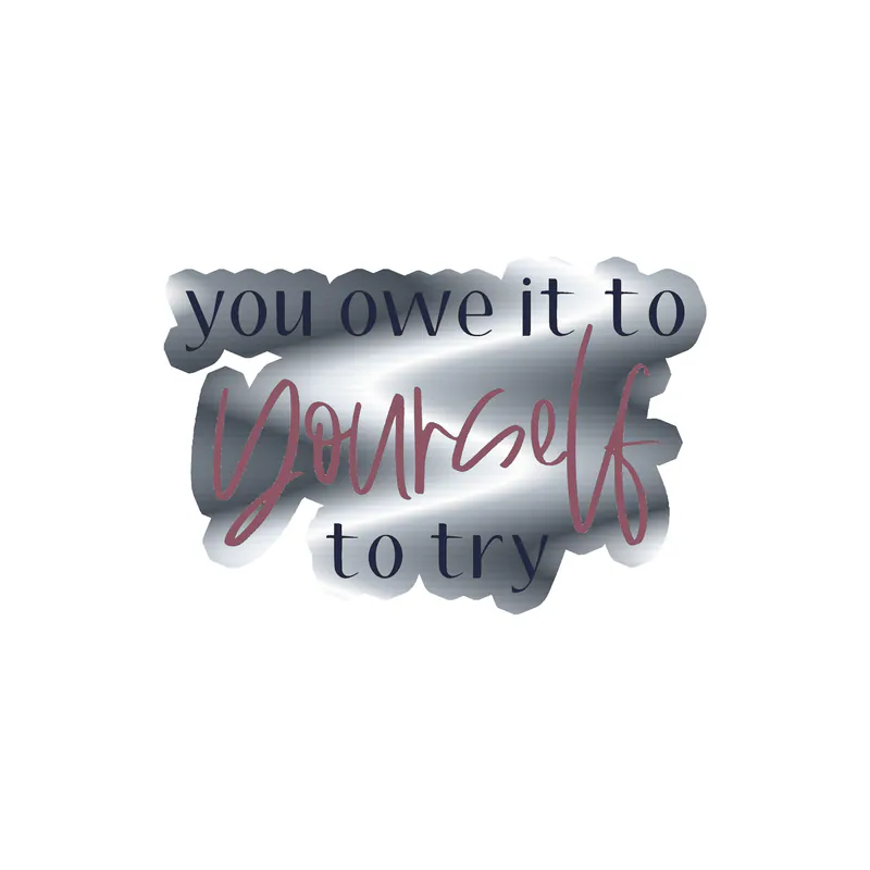 You Owe it to Yourself to try Silver Chrome Vinyl Decal - Custom Size