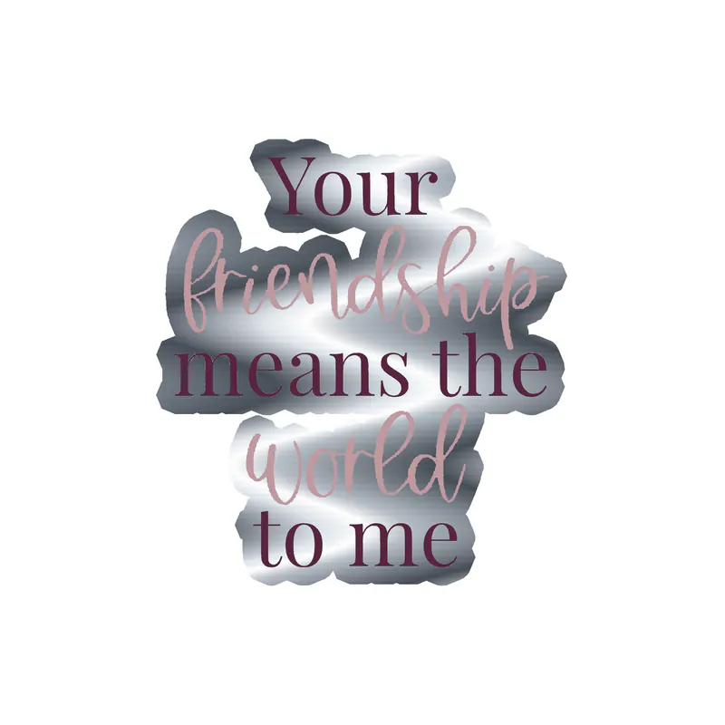 Your Friendship Means the World To Me Silver Chrome Vinyl Decal - Custom Size