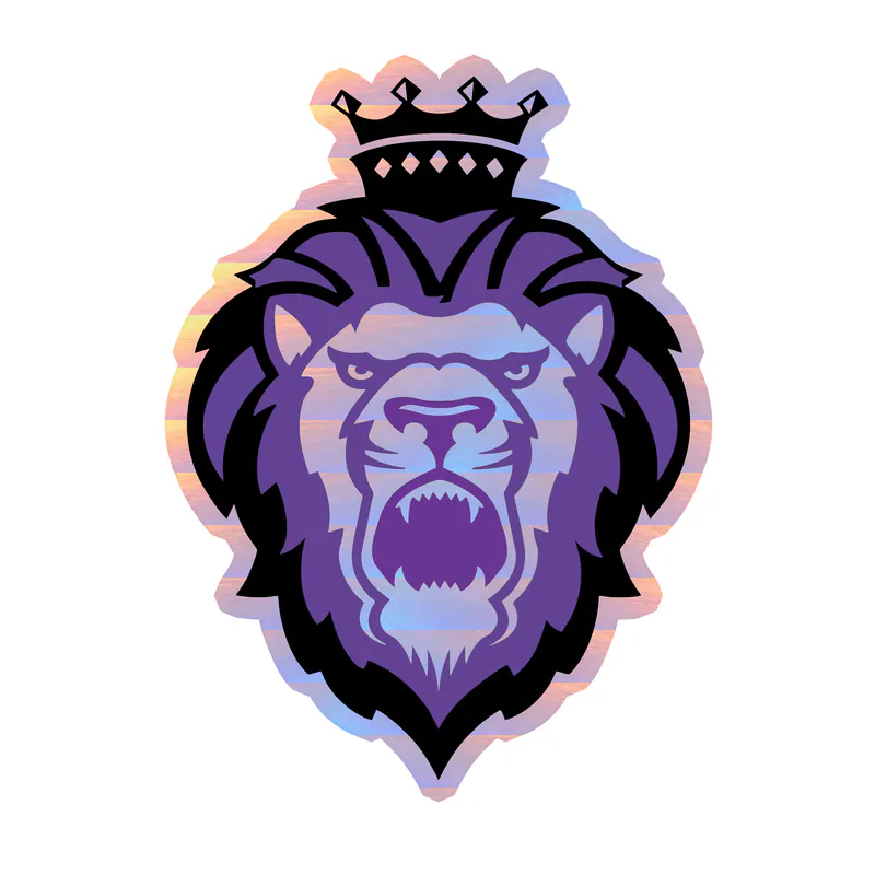 Custom for William - Holographic Vinyl Decal