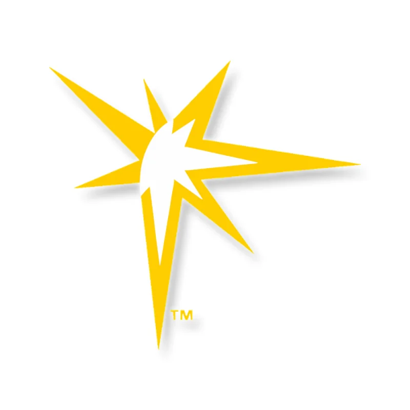 Tampa Bay Rays - Sunburst - Full Color Vinyl Sticker - Custom Size