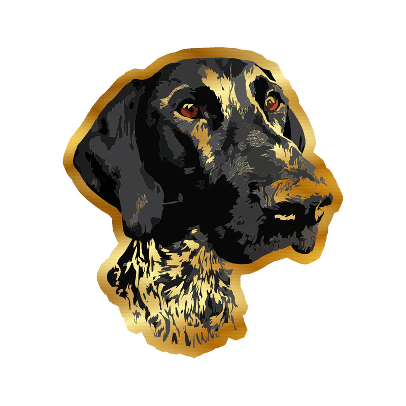 German Shorthaired Pointer - Gold Chrome Vinyl Sticker - Custom Size