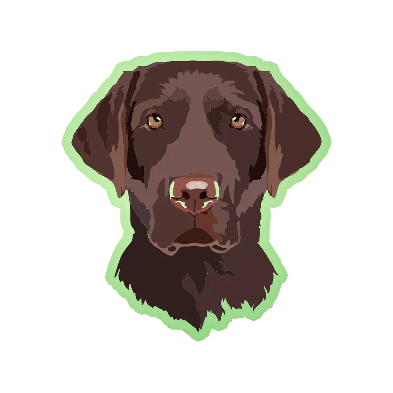 Chocolate Labrador - Glow in the Dark Vinyl Sticker - Custom Size