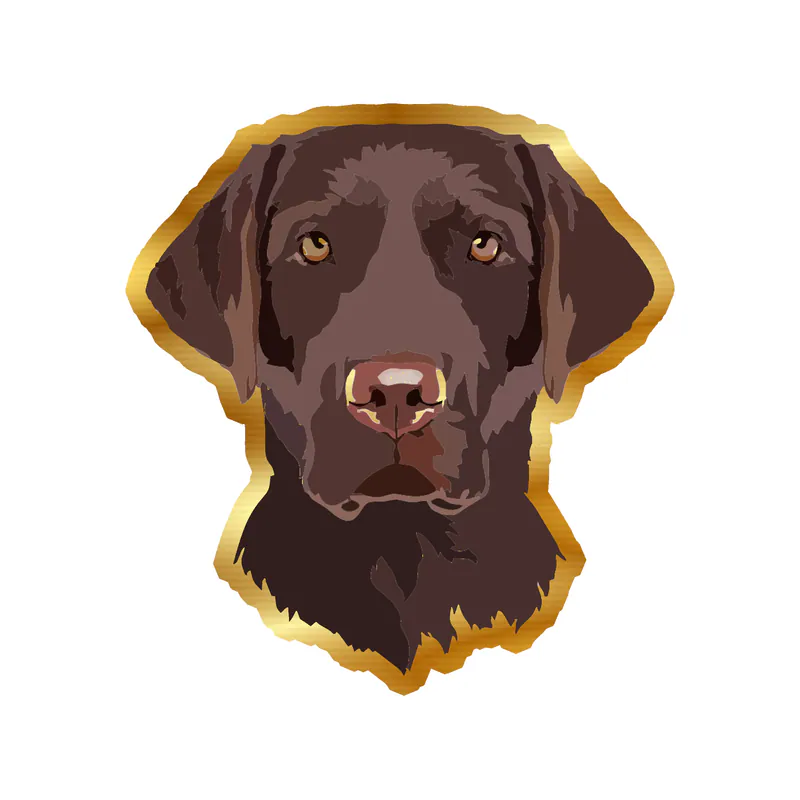 Chocolate Labrador - Gold Chrome Vinyl Sticker - Custom Size