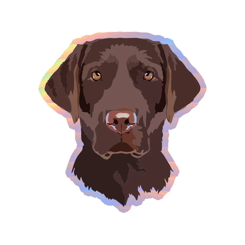 Chocolate Labrador - Holographic Vinyl Sticker - Custom Size
