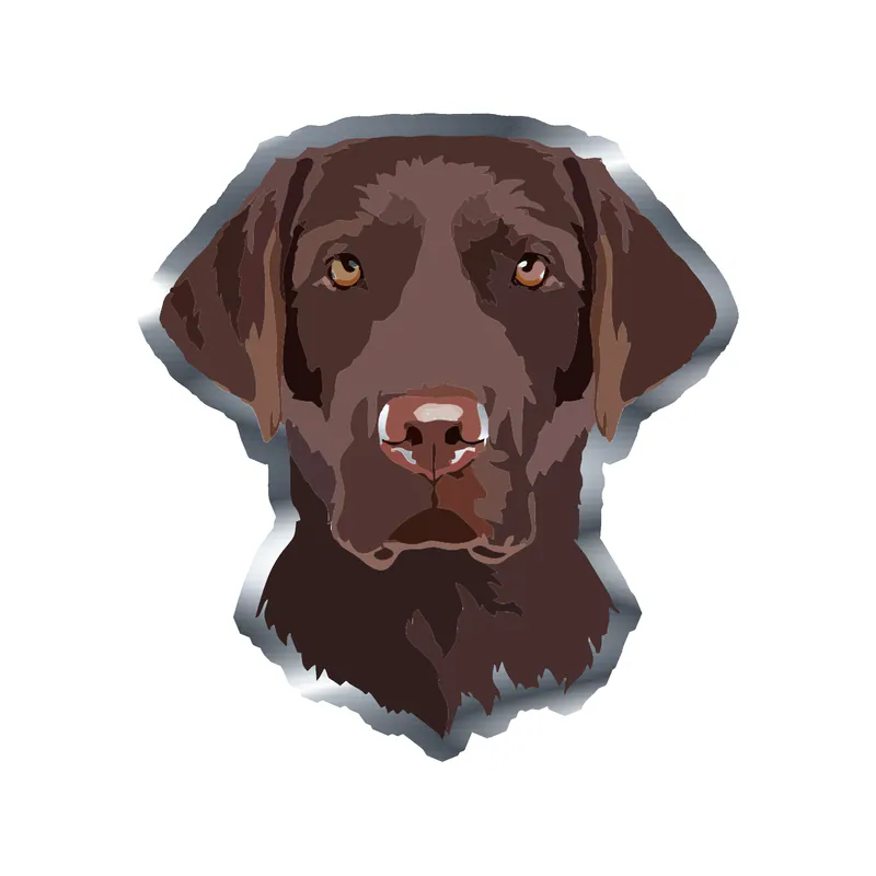Chocolate Labrador - Silver Chrome Vinyl Sticker - Custom Size