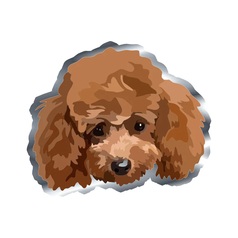Poodle - Silver Chrome Vinyl Sticker - Custom Size
