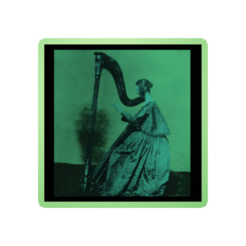Tv Girl - Grapes Upon The Vine Album Cover - Glow in the Dark Vinyl Sticker - Custom Size