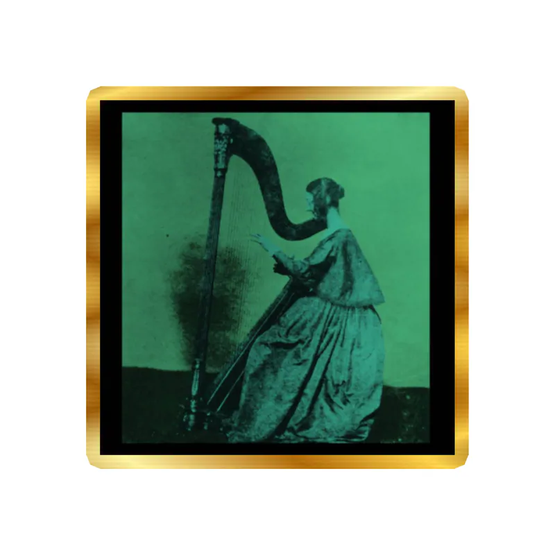 Tv Girl - Grapes Upon The Vine Album Cover - Gold Chrome Vinyl Sticker - Custom Size