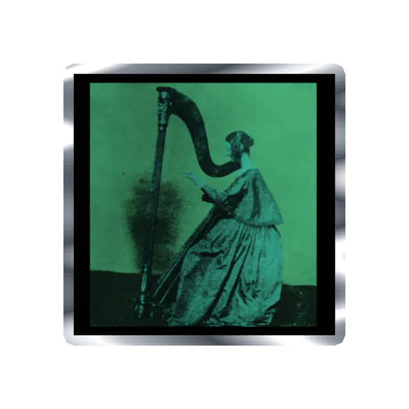 Tv Girl - Grapes Upon The Vine Album Cover - Silver Chrome Vinyl Sticker - Custom Size