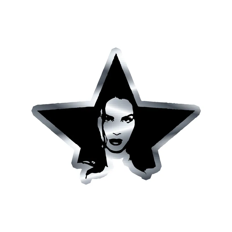 Lana Del Rey - Star - Silver Chrome Vinyl Sticker - Custom Size