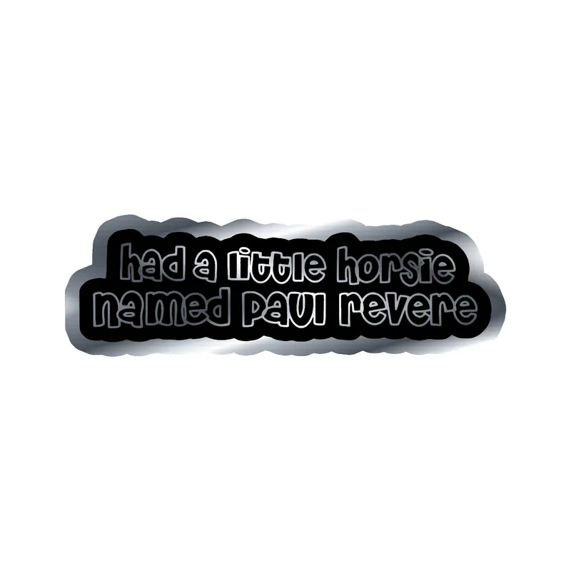 Beastie Boys - My Right To Party - Silver Chrome Vinyl Sticker - Custom Size