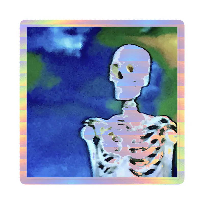 Bones Album Cover Holographic Vinyl Decal - Custom Size