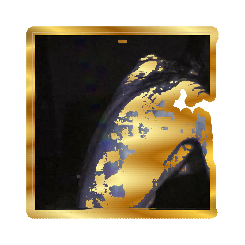 Bones Album Cover Gold Chrome Vinyl Decal - Custom Size