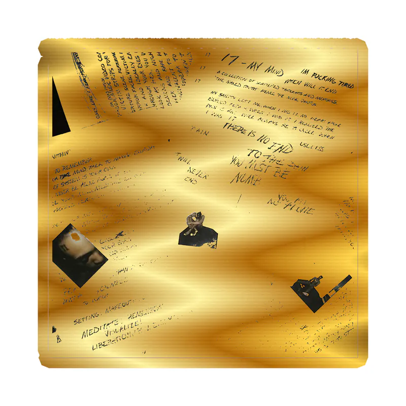 xxxtentacion - Album Cover - Gold Chrome Vinyl Decal - Custom Size