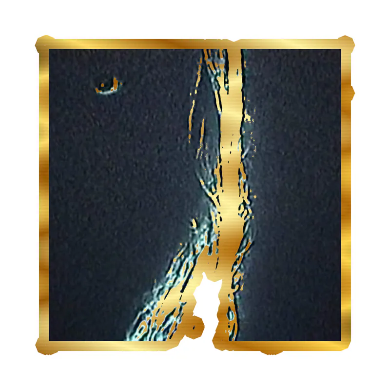 Bones Album Cover Gold Chrome Vinyl Decal - Custom Size